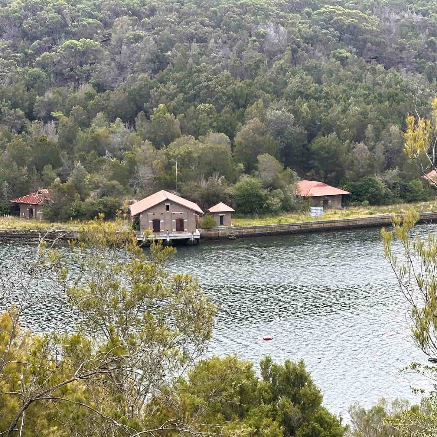Scenic view of a lake with rustic buildings surrounded by dense greenery in Bantry Bay in the Garigal National Park on Sydney's Northern Beaches.