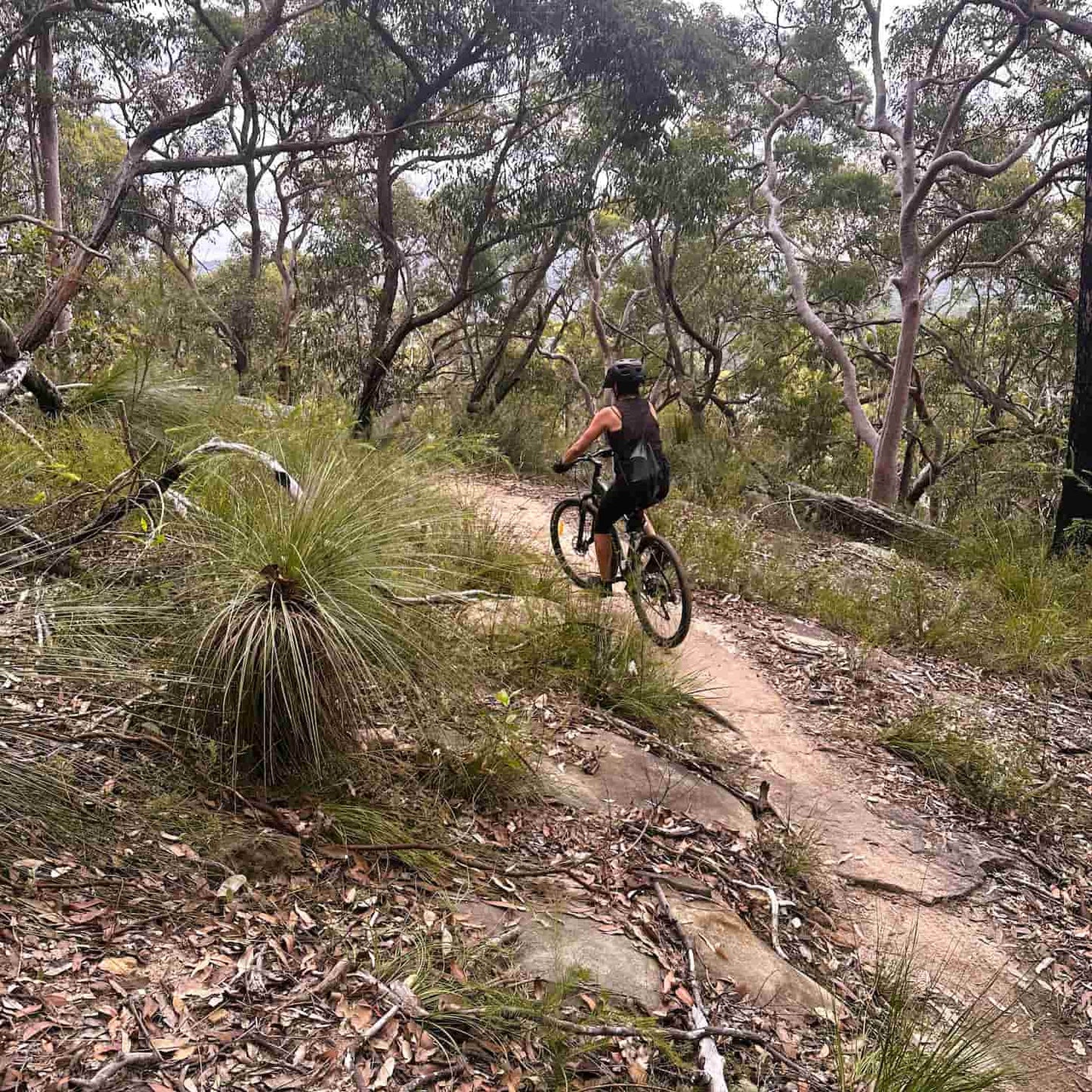 Person riding a bicycle on a bush trail at Manly Dam in Manly on Sydney's Northern Beaches.