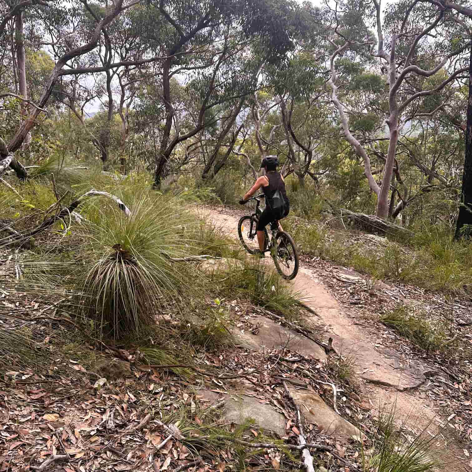 Person riding a bicycle on a bush trail at Manly Dam in Manly on Sydney's Northern Beaches.