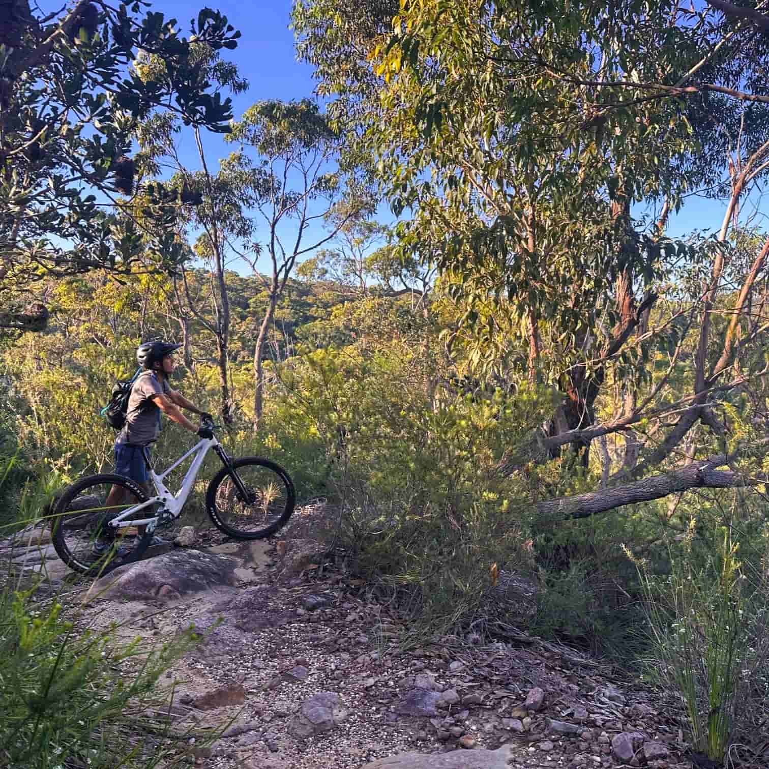 Mountain biking on a rocky single trail through Garigal National Park, Northern Beaches Sydney