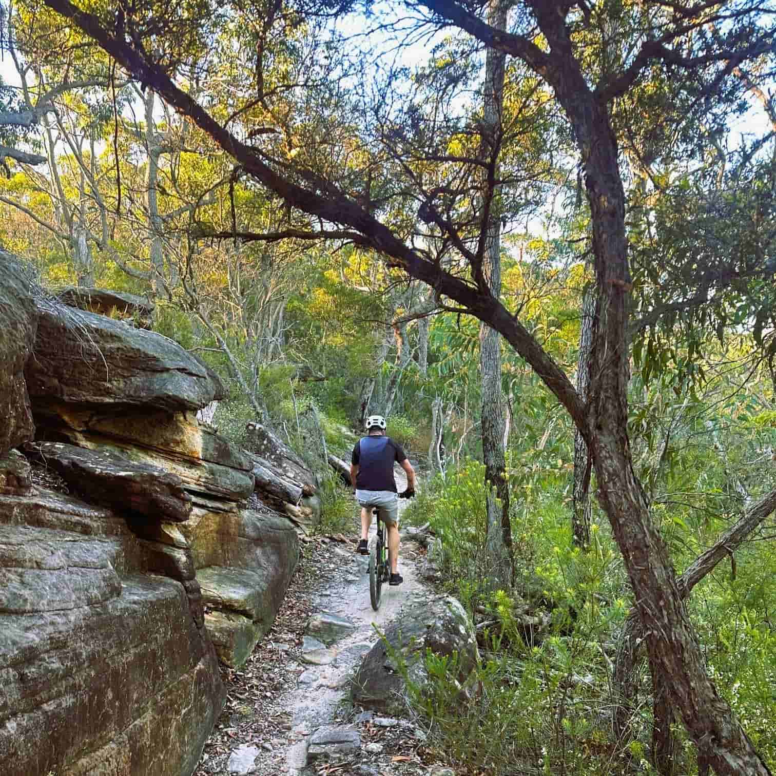 Person riding a bike on a rocky trail through a forest