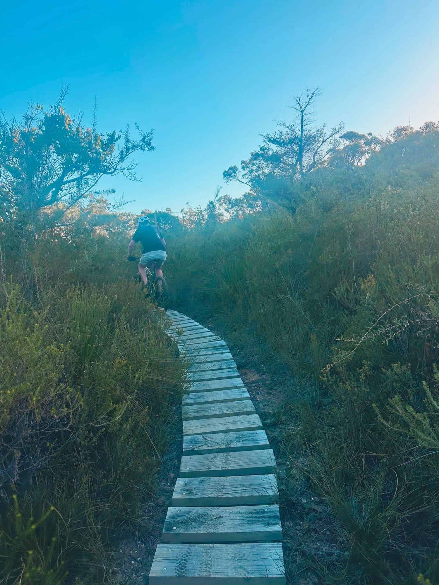Person riding a bike on a boardwalk in the bush