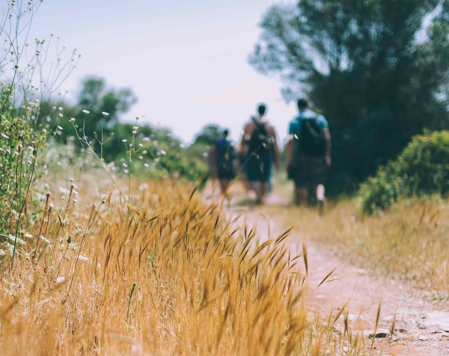 People walking along a dirt path with tall grass in the foreground