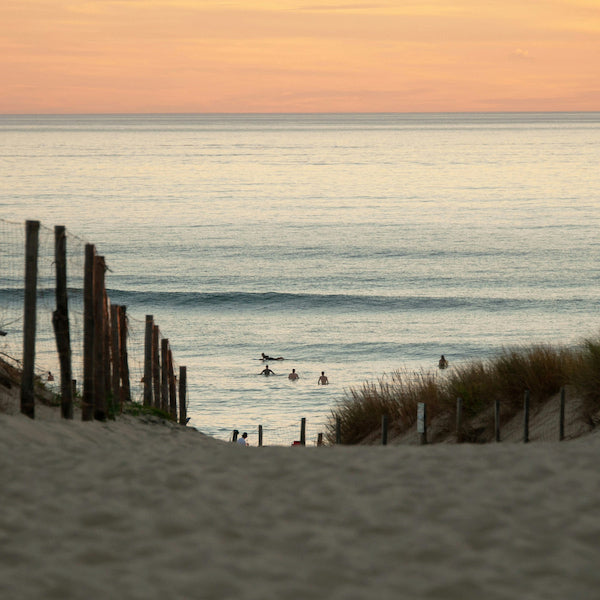 Beach scene with surfers in the water at sunrise at Curl Curl on Sydney's Northern Beaches