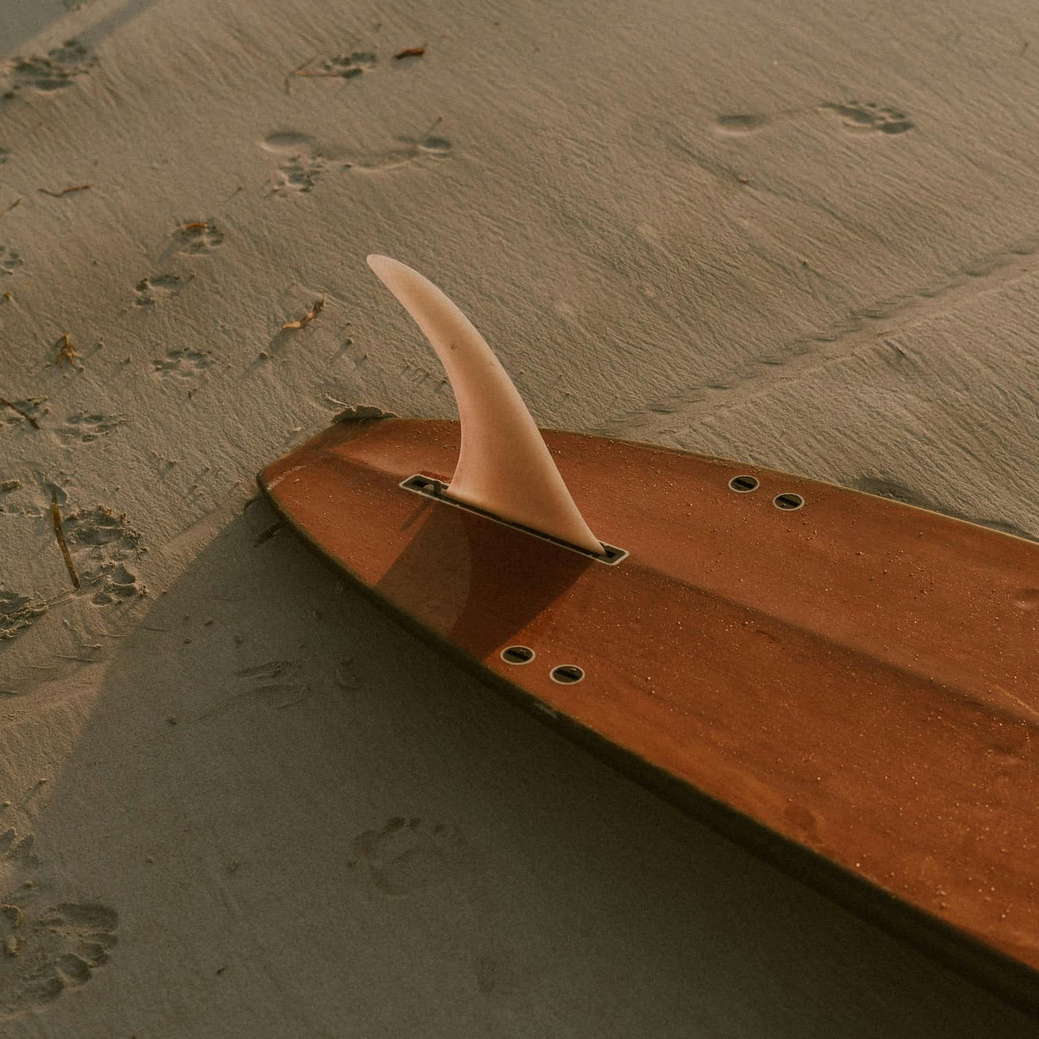 Surfboard with a single fin on a sandy beach at Manly Beach on Sydney's Northern Beaches.