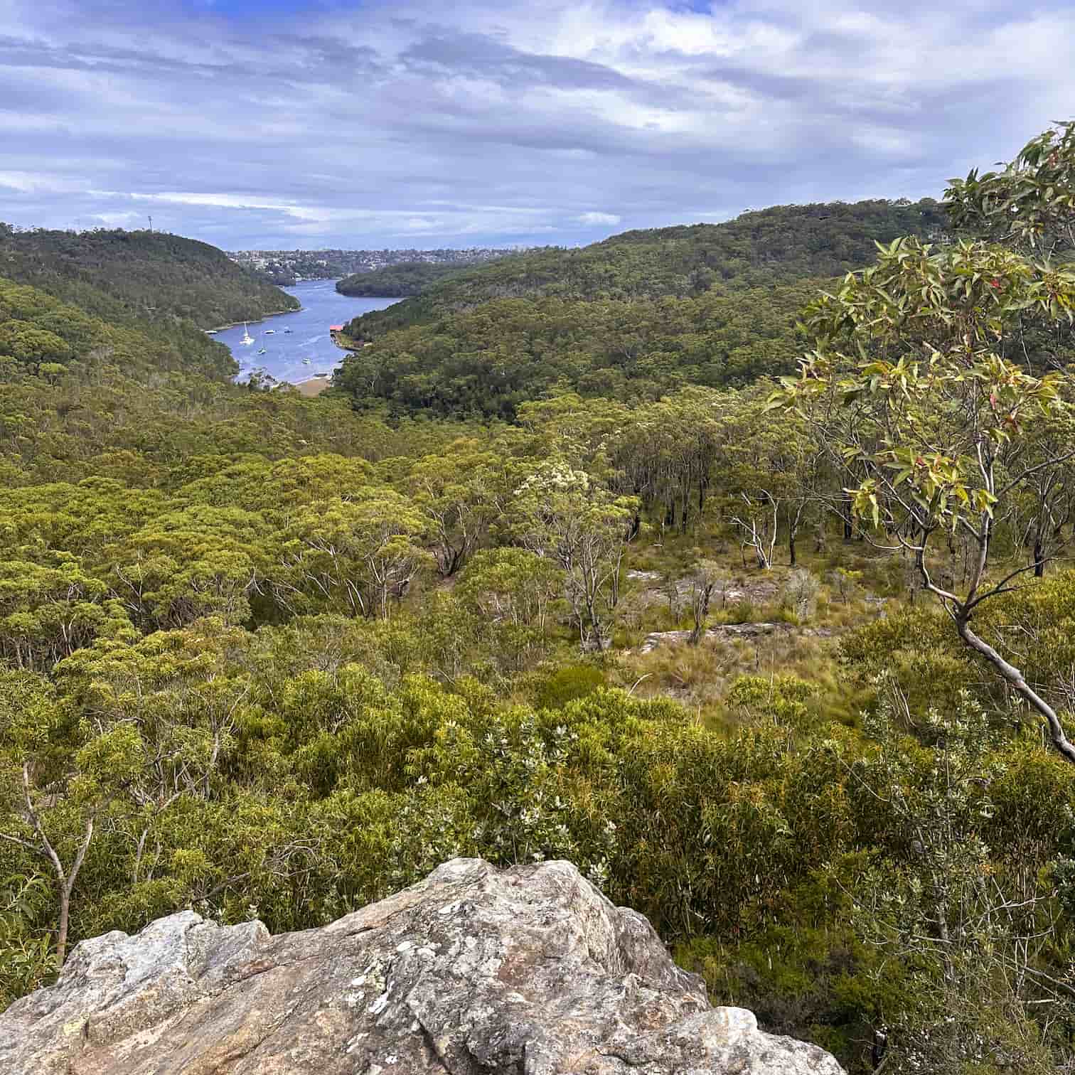 Scenic view from the Bluff lookout of a river winding through a lush green landscape with trees and rocks in the Garigal National Park on Sydney's Northern Beaches.